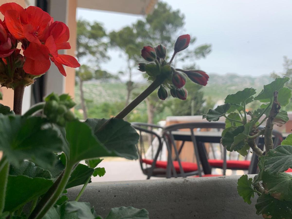 Spomenka * Seline