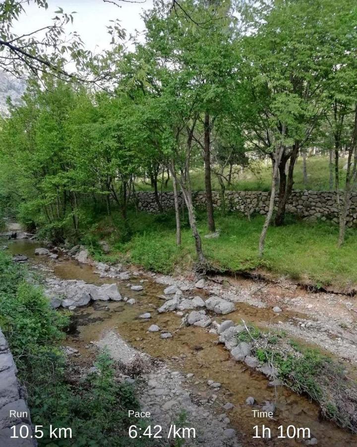 Spomenka * Seline